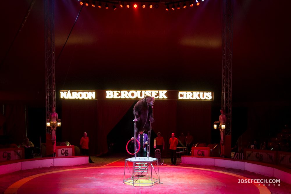 cirkus berousek-0047