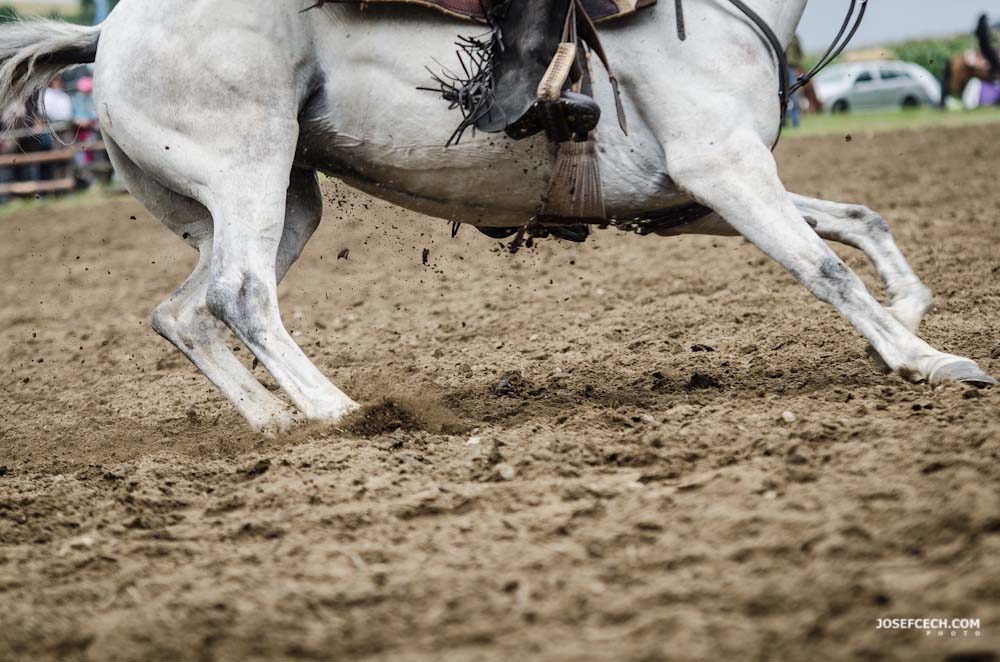 WESTERN SHOW 0012