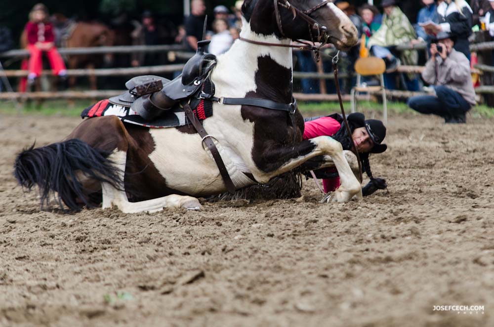 WESTERN SHOW 0036