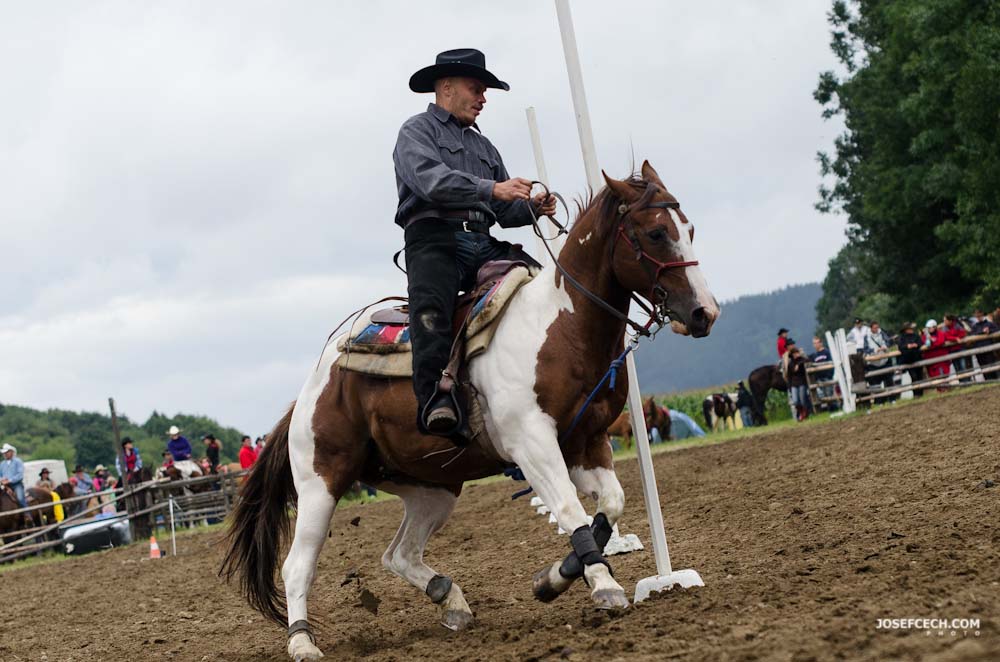 WESTERN SHOW 0040