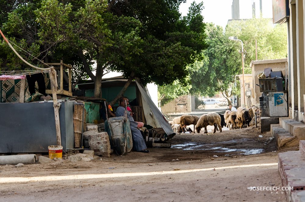 Hurghada-0083