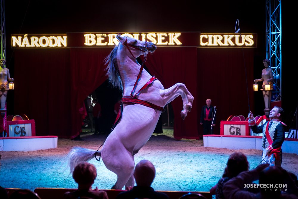 cirkus berousek-0031