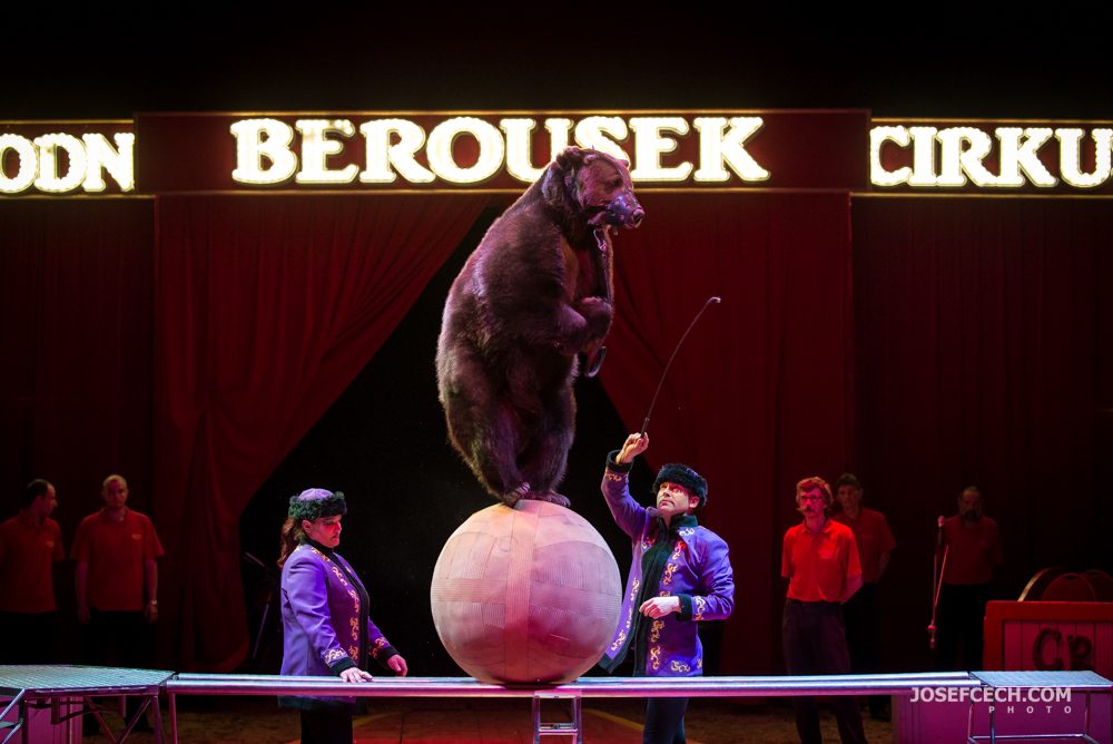 cirkus berousek-0046